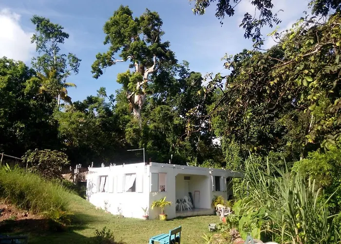 gîte au cœur de la nature au calme wifi clim parking au Gosier
