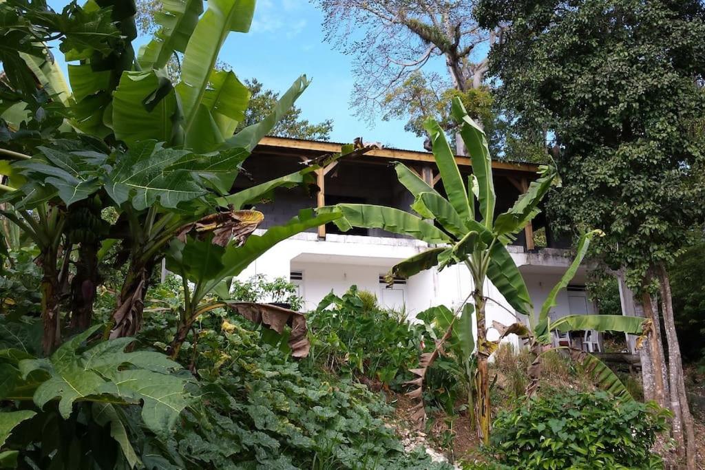 Hébergement de vacances Au Cœur De La Nature Au Calme Wifi Clim Parking Au Gosier