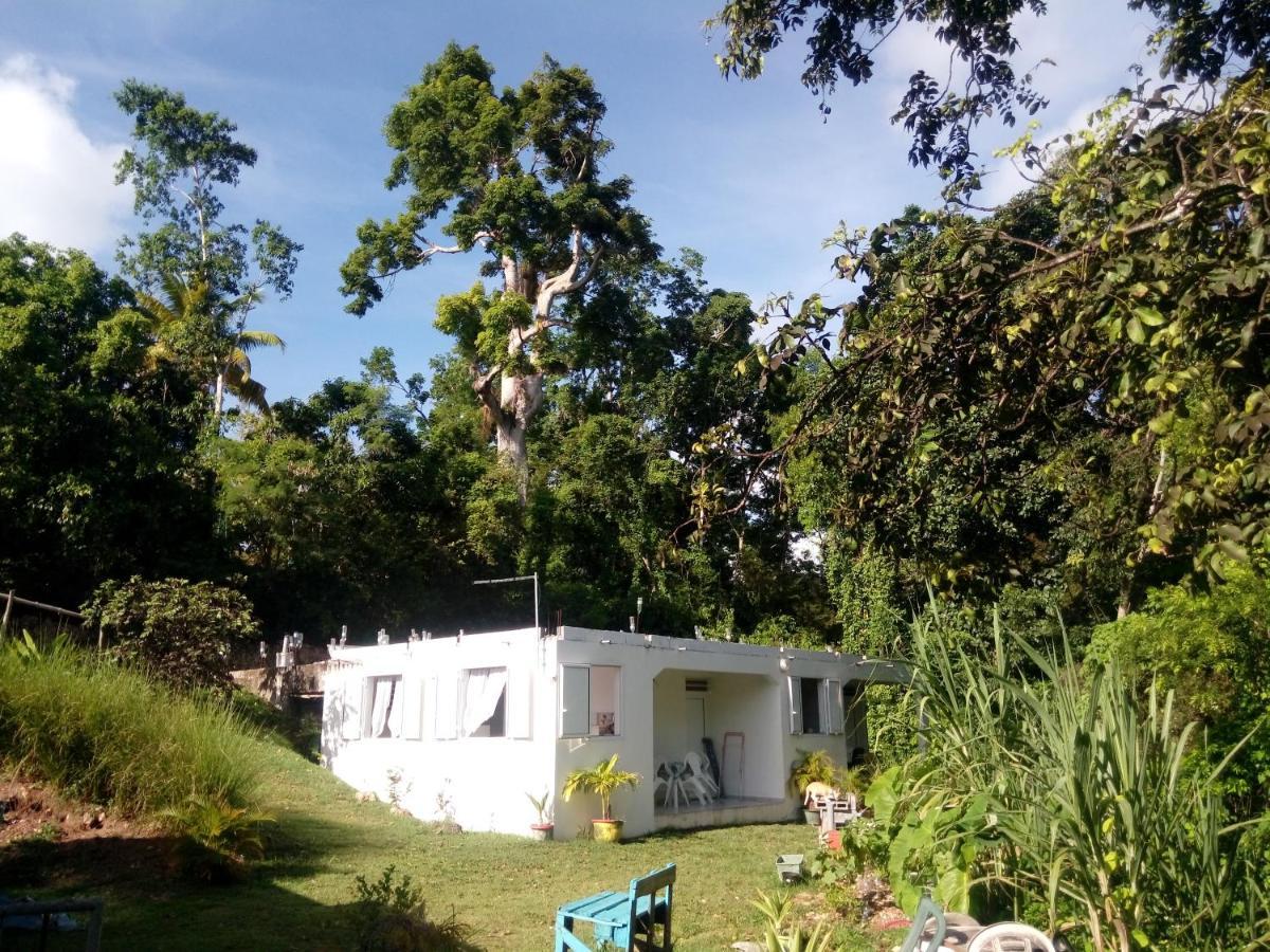 Hébergement de vacances Au Cœur De La Nature Au Calme Wifi Clim Parking Au Gosier